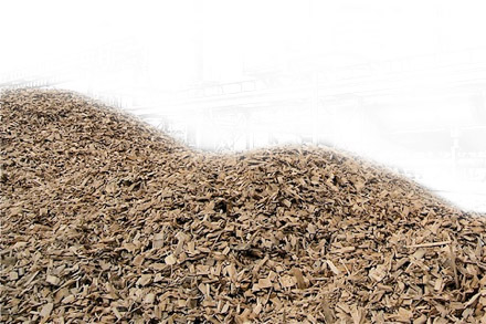 Biomass from olive oil process Biomass from olive oil process