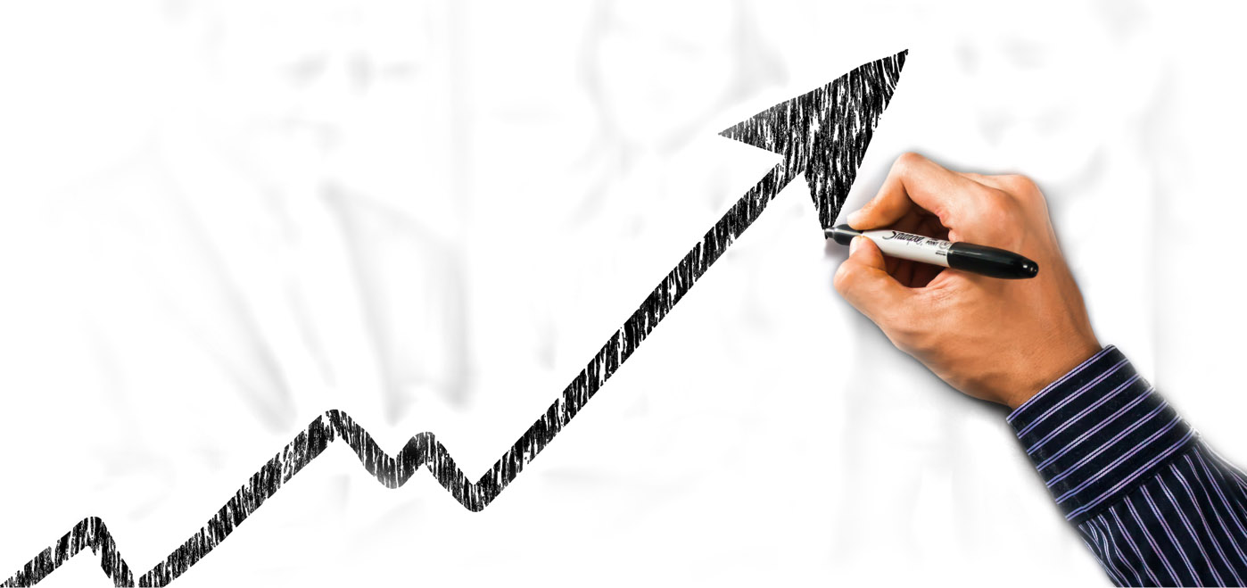 Desarrollo de proyectos oleícolas integrales Desarrollo de proyectos oleícolas integrales