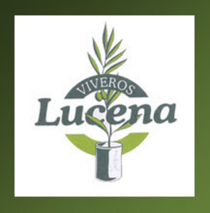 Viveros Lucena